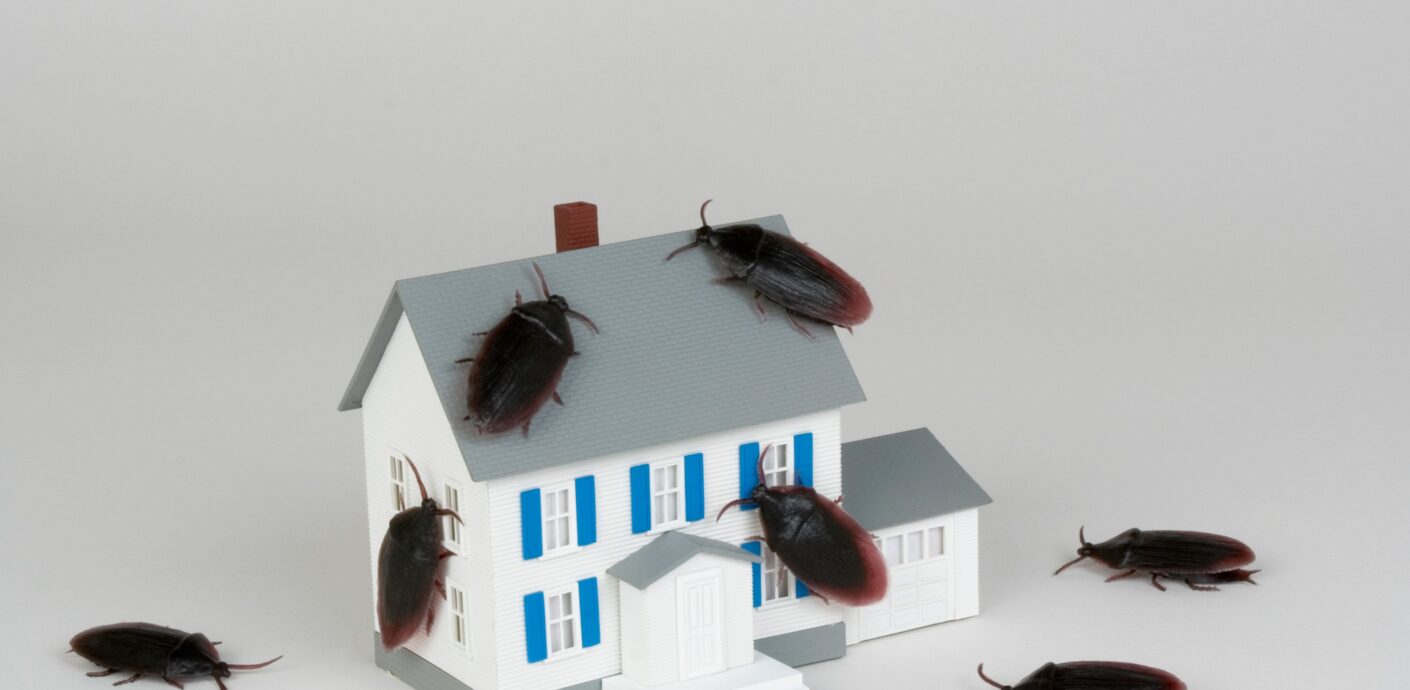 Property condition concerns identified during home appraisal inspection