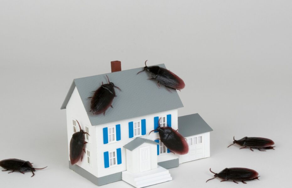 Property condition concerns identified during home appraisal inspection